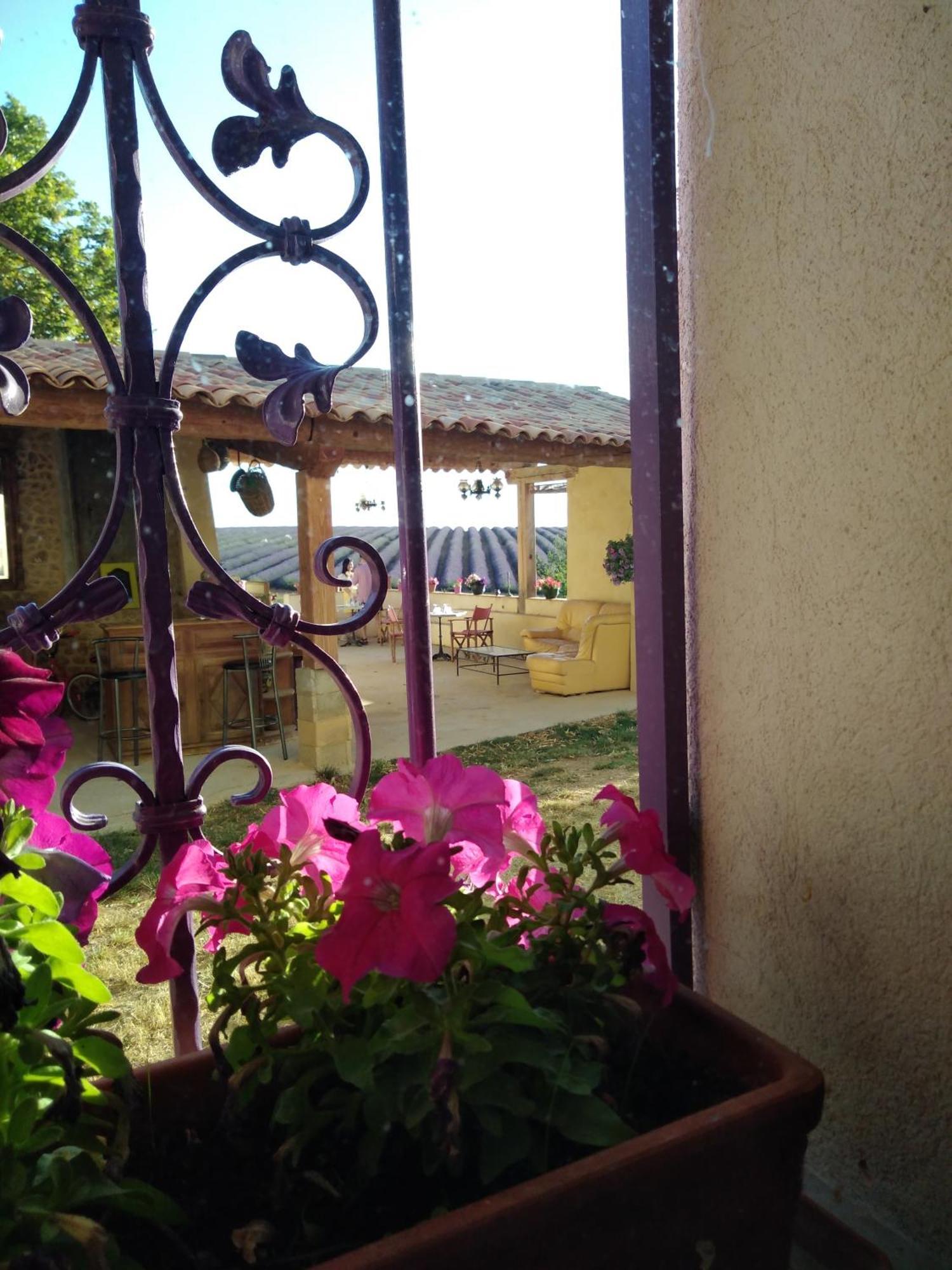 Chambre A La Ferme Au Milieu Des Lavandes Valensole Bagian luar foto